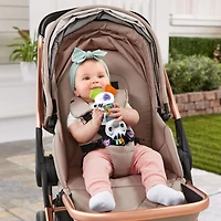 VTech Baby Rattling Rain Stick Zebra