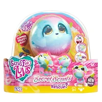 Scruff-a-Luvs Little Live Pets Senteurs secrètes