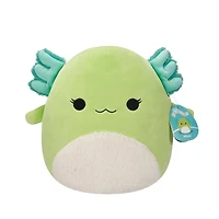 Squishmallows 16" - Mipsy l'Axolotl vert