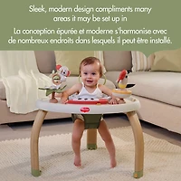 Tiny Love 5-in-1 Here I Grow Stationary Activity Center - Boho Chic Collection