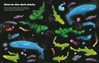 Big Sticker Book of Sharks - Édition anglaise