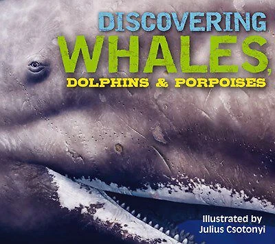 Discovering Whales, Dolphins and Porpoises - Édition anglaise