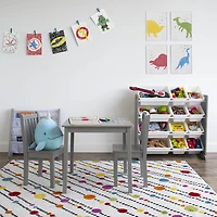Toy Organizer with Bins