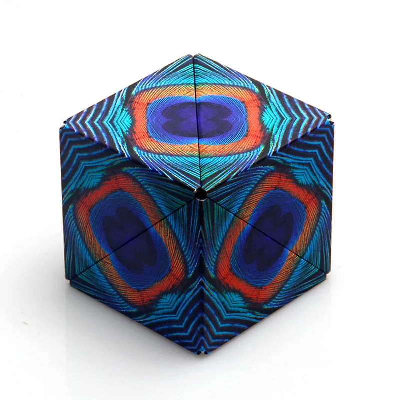 Cube multiforme SHASHIBO