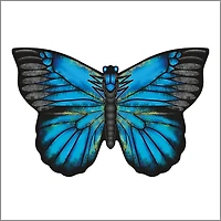 Cerf-volant papillon - Morpho bleu