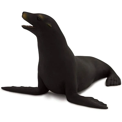 ALEX - Californie Lion De Mer - Moyen