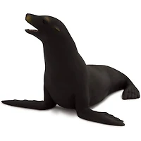 ALEX - Californie Lion De Mer - Moyen