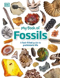 My Book of Fossils - English Edition