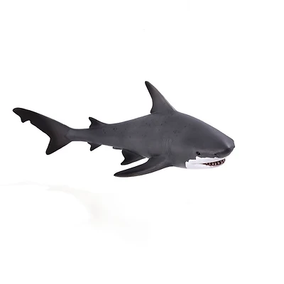 ALEX - Requin-Bouledogue - Grand