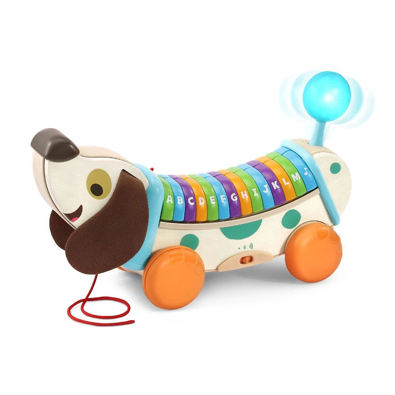 LeapFrog Wooden AlphaPup - English Edition