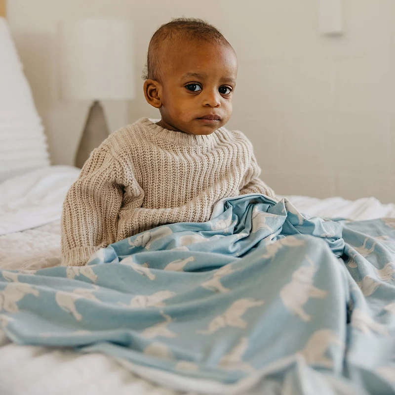 Copper Pearl Peanut Blanket