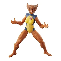 Marvel Legends Series Wolfsbane Comics Action Figure