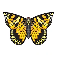 Butterfly Kite - Yellow