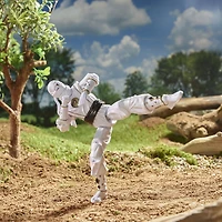 Power Rangers Lightning Collection Mighty Morphin Ninja Ranger