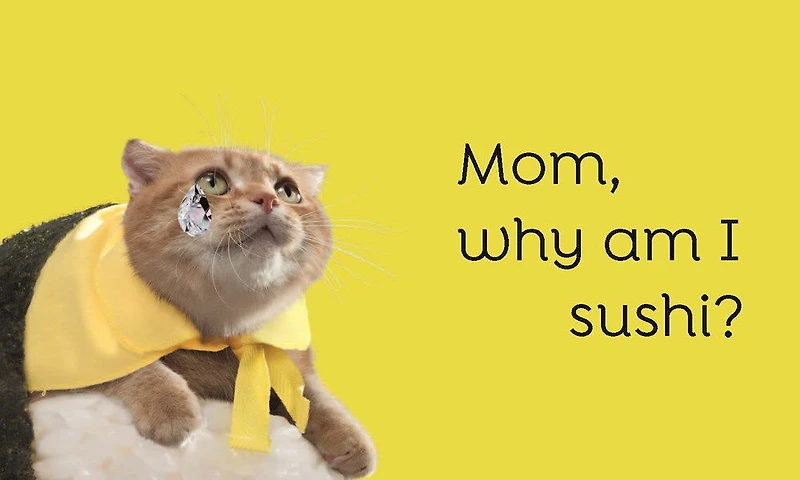 Sushi Cats Magnet Set - English Edition