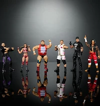 WWE Elite Collection Cora Jade Action Figure