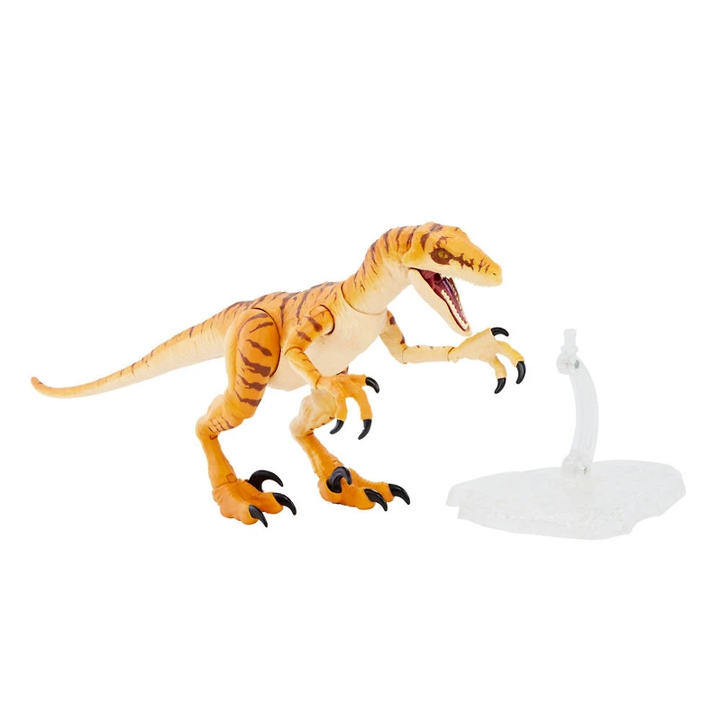 Jurassic World - Collection Ambre - Vélociraptor