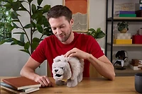 Minecraft Peluche à fonctions Dennis le loup, sons et bouche à mouv.