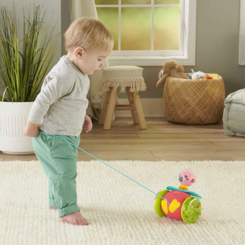 Fisher-Price Paradise Pals Pull-Along Flamingo