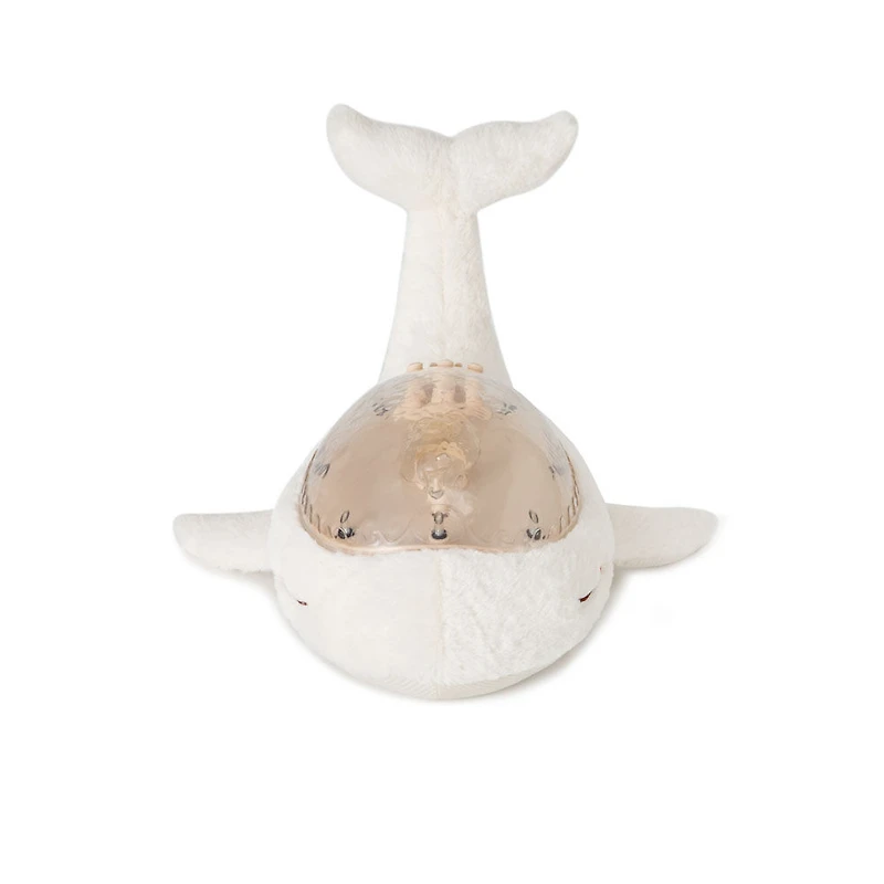 Cloud b Tranquil Whale Bundle w/Baby Plush Rattle Night Light w/ Under Water Effect and Music