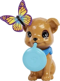 Barbie Doll and Accessories