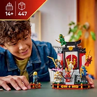 LEGO NINJAGO Ninja Character Display 15th Anniversary Building Toy for Kids, Ages 14+ - 71866