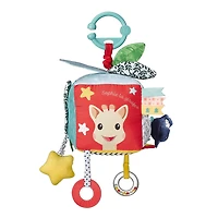 Sophie Maxi Sensory Cube
