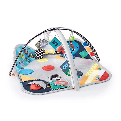 Sensory Play Space Newborn-to-Toddler Discovery Gym