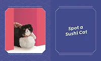 Sushi Cats Magnet Set - English Edition