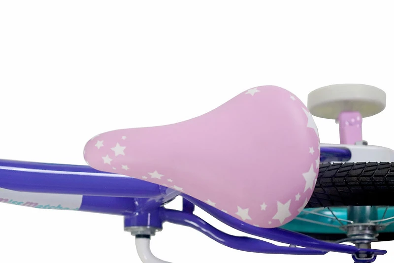 Little Miss Matched Bike - inch