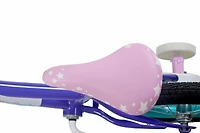 Little Miss Matched Bike - inch