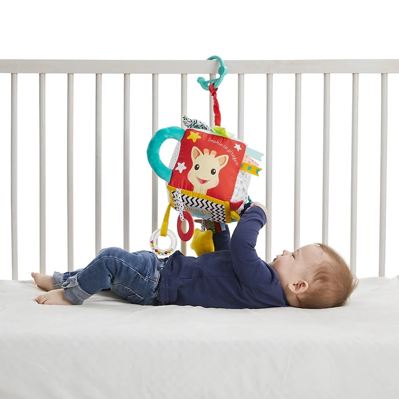 Sophie Maxi Sensory Cube