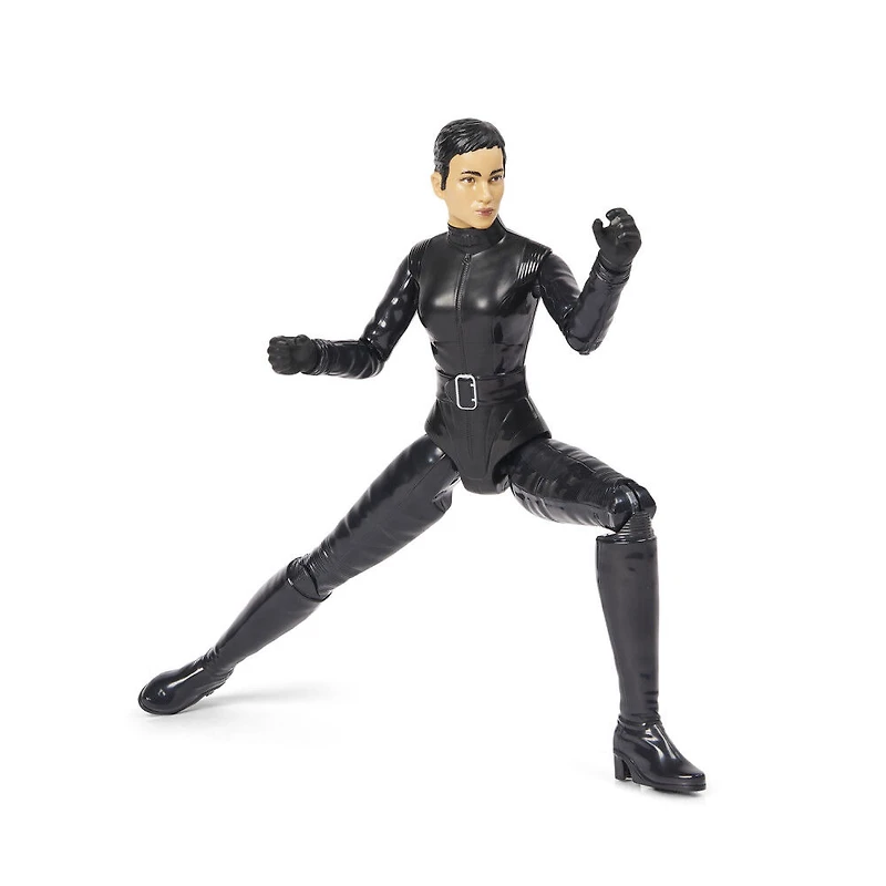 DC Comics, Batman 12-inch Selina Kyle Action Figure
