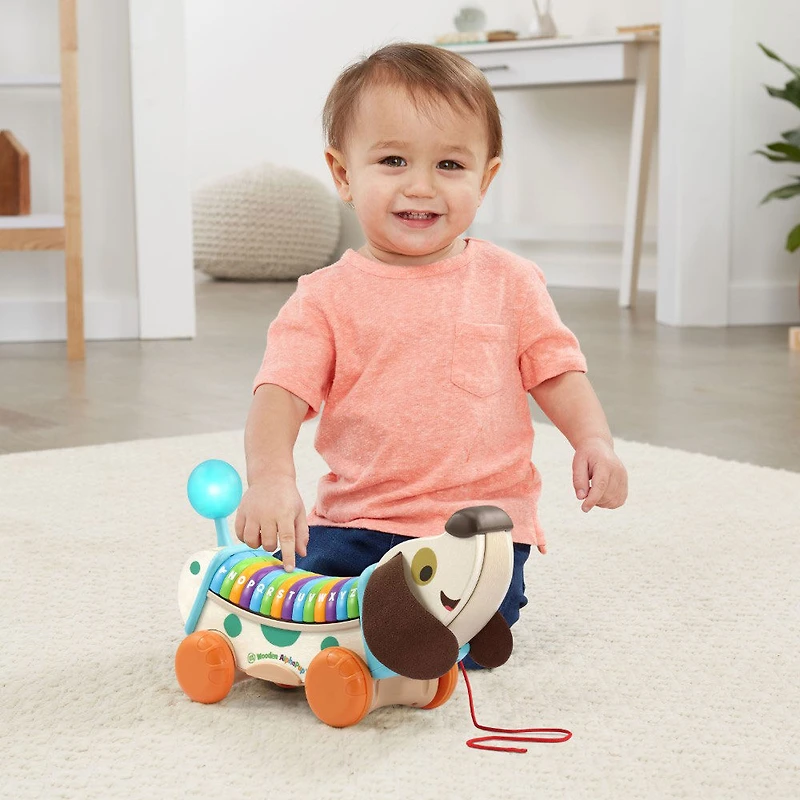 LeapFrog Wooden AlphaPup - English Edition