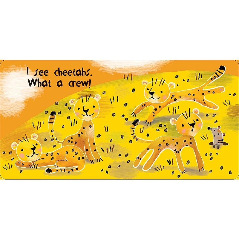 Premier Cherche et trouve de bébé : Je vois un zèbre.