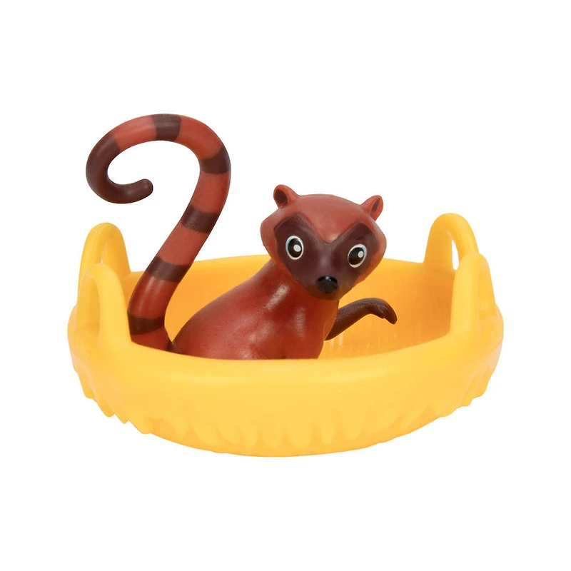 ENCANTO - Ensemble Step and Swing d'Antonio et les animaux