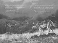 A Wolf Called Wander - Édition anglaise