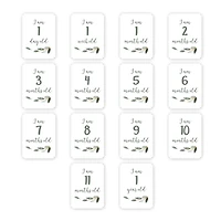 Lulujo - 1ère année de bébé - jalon mensuel photographie fond Prop, couverture et jeu de cartes - Tout ce dont vous avez besoin c'est de l'amour