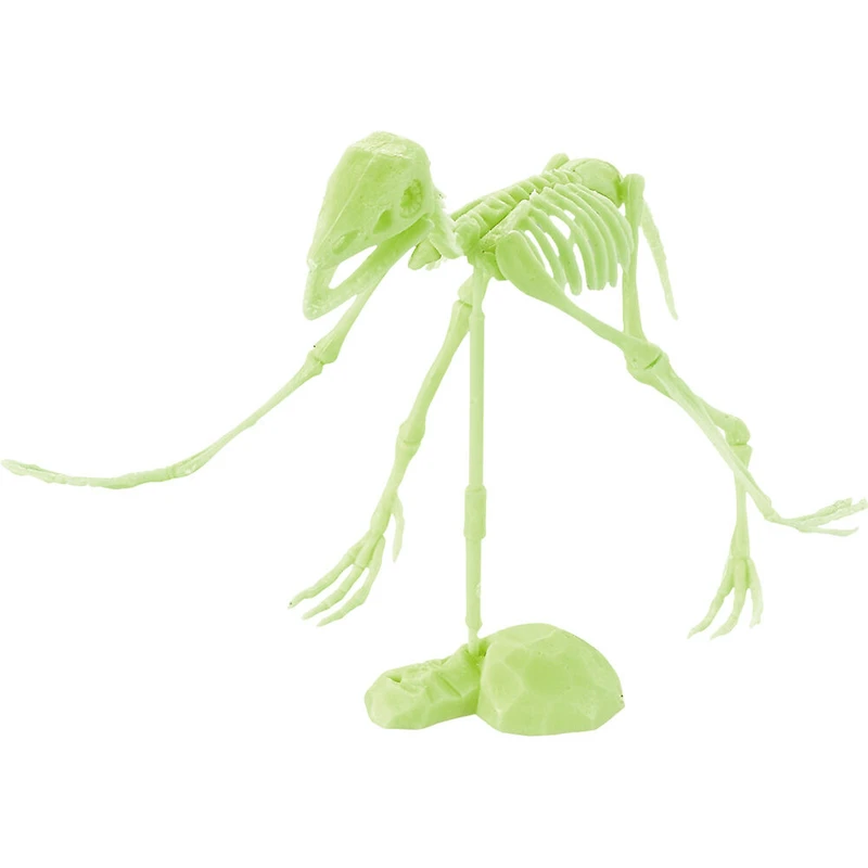 Casse-Tête Fossile 3D