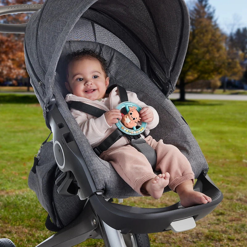 Fisher-Price - Axolotl Tourni, activité de motricité fine pour nouveau-nés