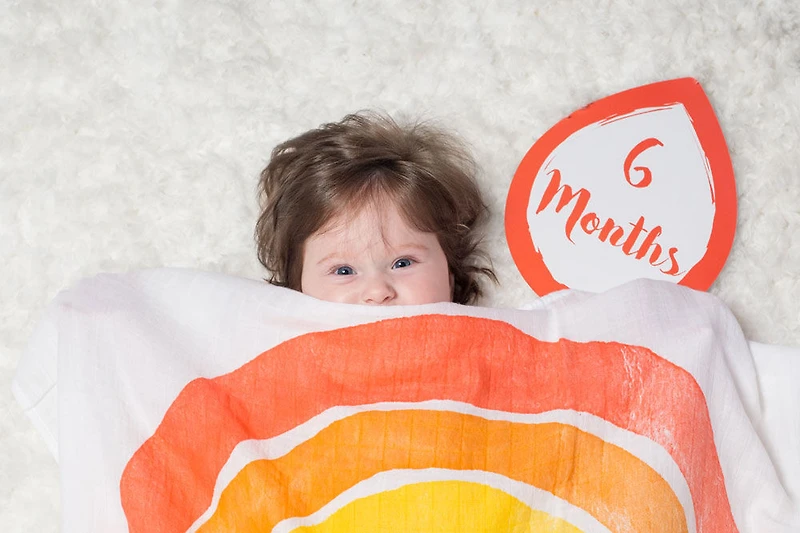 Lulujo - A Dream Come True Milestone Blanket - English Edition