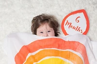 Lulujo - A Dream Come True Milestone Blanket - English Edition