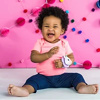 Rattle & Teethe Wrist Pals Toy - Unicorn & Llama