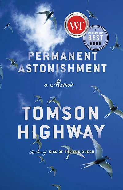 Permanent Astonishment - English Edition
