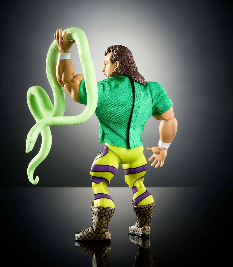 WWE Superstars Jake 'The Snake' Roberts Action Figure