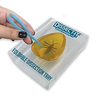 Dissect It - Discover It-Ancient Amber Lab