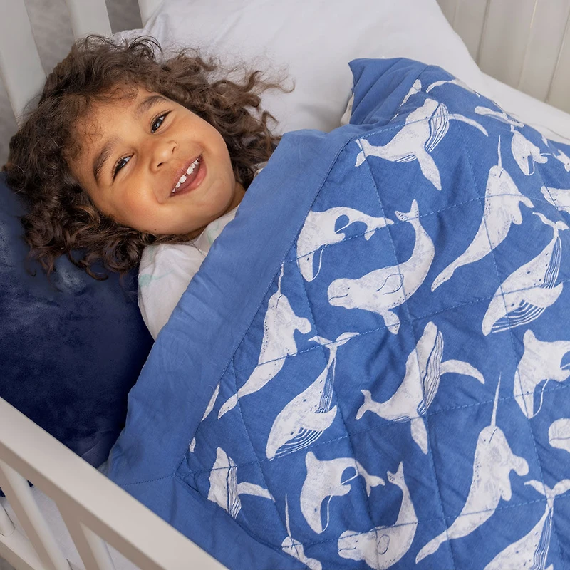 Aden + Anais Toddler-Bed Weighted Blanket