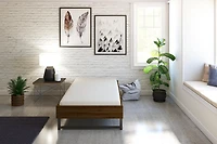 Signature Sleep Memoir inch Memory Foam Mattress