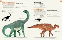 Dictionary Of Dinosaurs - English Edition