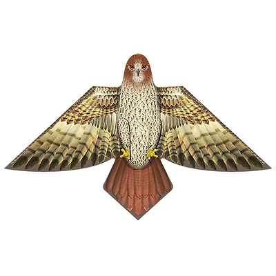 Cerf-volant X Kites - Birds of a Feather - Faucon